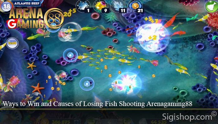 Ways to Win and Causes of Losing Fish Shooting Arenagaming88